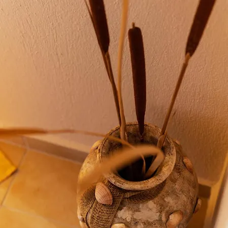 De N.a.p.e Apartman Hanióti